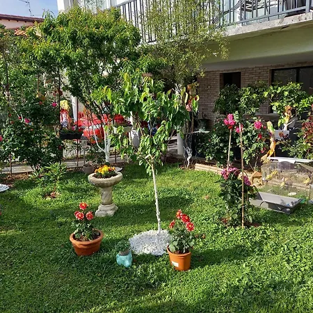 Homestay Location Chez Fadila Alouane Toulouse