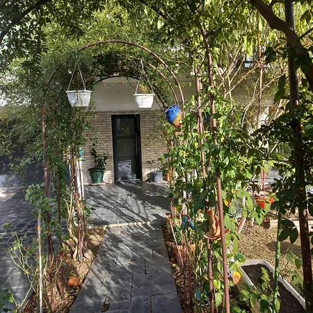 Location Chez Fadila Alouane Проживание в семье
